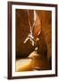 Slot Canyon at Lake Powell NRA, Utah-Zandria Muench Beraldo-Framed Premium Photographic Print