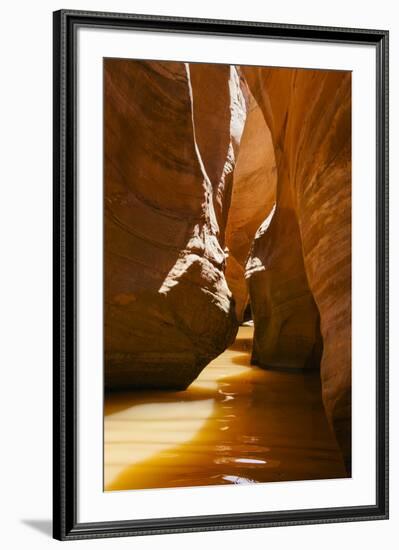 Slot Canyon at Lake Powell NRA, Utah-Zandria Muench Beraldo-Framed Premium Photographic Print