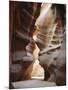 Slot Canyon in Red Sandstone, Antelope Canyon, Near Page, Arizona, USA-Tony Waltham-Mounted Premium Photographic Print
