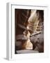 Slot Canyon in Red Sandstone, Antelope Canyon, Near Page, Arizona, USA-Tony Waltham-Framed Photographic Print