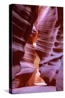 Slot Canyon Single, 2016-null-Stretched Canvas