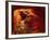 Slot Canyon, Upper Antelope Canyon, Page, Arizona, USA-Michel Hersen-Framed Photographic Print