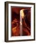 Slot Canyons of the Colorado Plateau, Upper Antelope Canyon, Arizona, USA-Daisy Gilardini-Framed Photographic Print