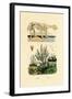 Sloth, 1833-39-null-Framed Giclee Print