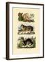 Sloth Ape, 1833-39-null-Framed Giclee Print