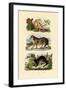 Sloth Ape, 1833-39-null-Framed Giclee Print