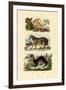 Sloth Ape, 1833-39-null-Framed Giclee Print