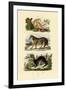 Sloth Ape, 1833-39-null-Framed Giclee Print