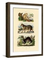 Sloth Ape, 1833-39-null-Framed Giclee Print