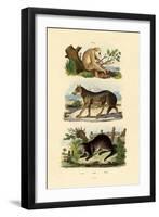 Sloth Ape, 1833-39-null-Framed Giclee Print
