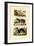 Sloth Ape, 1833-39-null-Framed Giclee Print