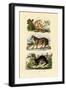 Sloth Ape, 1833-39-null-Framed Giclee Print