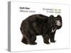 Sloth Bear (Melursus Ursinus), Mammals-Encyclopaedia Britannica-Stretched Canvas