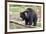 Sloth Bear-Anan Kaewkhammul-Framed Photographic Print