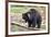 Sloth Bear-Anan Kaewkhammul-Framed Photographic Print