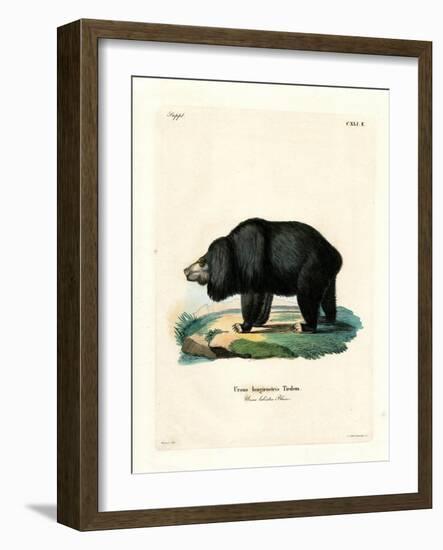 Sloth Bear-null-Framed Giclee Print