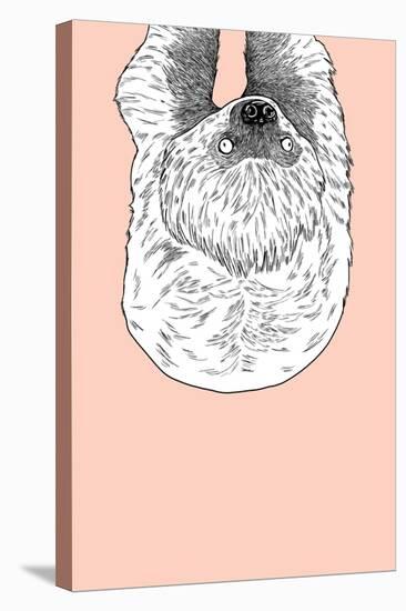 Sloth-Annie Bailey Art-Stretched Canvas