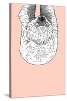 Sloth-Annie Bailey Art-Stretched Canvas