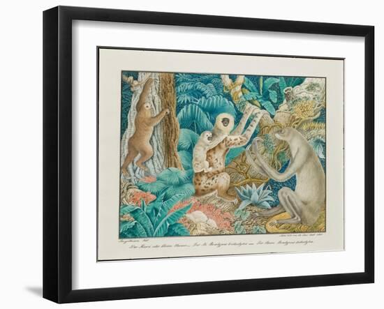 Sloths, 1881-Aloys Zotl-Framed Giclee Print