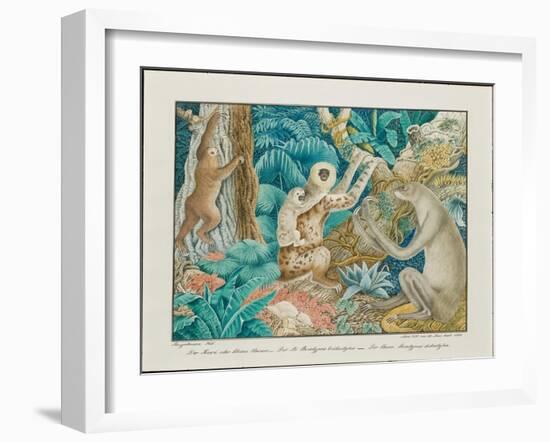 Sloths, 1881-Aloys Zotl-Framed Giclee Print