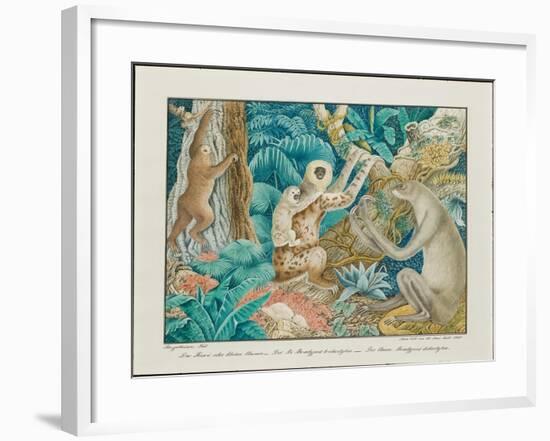 Sloths, 1881-Aloys Zotl-Framed Giclee Print