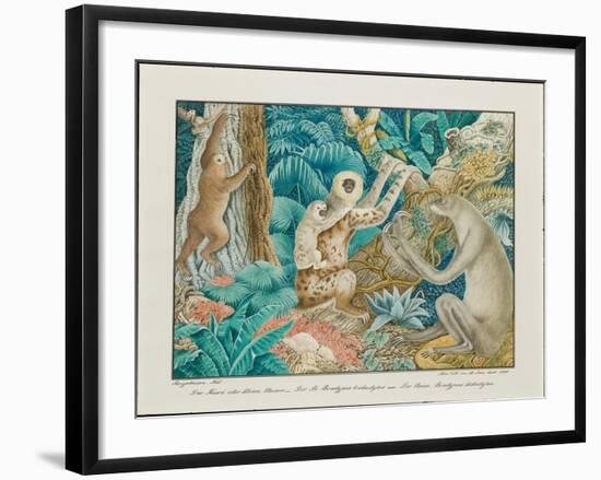 Sloths, 1881-Aloys Zotl-Framed Giclee Print