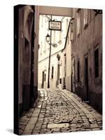 Slovakia, Bratislava, Old Town-Michele Falzone-Stretched Canvas