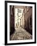 Slovakia, Bratislava, Old Town-Michele Falzone-Framed Photographic Print