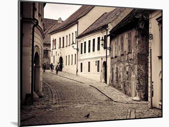 Slovakia, Bratislava, Old Town-Michele Falzone-Mounted Photographic Print