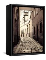 Slovakia, Bratislava, Old Town-Michele Falzone-Framed Stretched Canvas