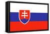 Slovakia Country Flag - Letterpress-Lantern Press-Framed Stretched Canvas