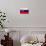 Slovakia Flag Design with Wood Patterning - Flags of the World Series-Philippe Hugonnard-Art Print displayed on a wall