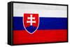 Slovakia Flag Design with Wood Patterning - Flags of the World Series-Philippe Hugonnard-Framed Stretched Canvas