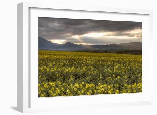 Slovakia-Maciej Duczynski-Framed Photographic Print