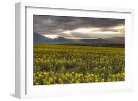 Slovakia-Maciej Duczynski-Framed Photographic Print