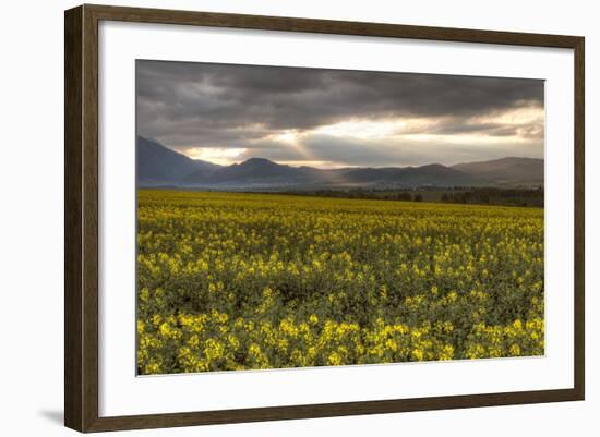 Slovakia-Maciej Duczynski-Framed Photographic Print