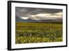 Slovakia-Maciej Duczynski-Framed Photographic Print