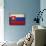 Slovakia-David Bowman-Giclee Print displayed on a wall