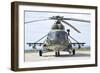 Slovakian Mi-17 with Digital Camouflage and Gun Pod-null-Framed Photographic Print