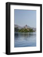 Slovenia, Bled, Bled Island-Rob Tilley-Framed Photographic Print
