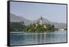 Slovenia, Bled, Bled Island-Rob Tilley-Framed Stretched Canvas