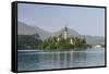 Slovenia, Bled, Bled Island-Rob Tilley-Framed Stretched Canvas