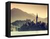 Slovenia, Bled, Lake Bled and Julian Alps-Michele Falzone-Framed Stretched Canvas