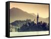 Slovenia, Bled, Lake Bled and Julian Alps-Michele Falzone-Framed Stretched Canvas