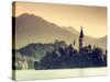 Slovenia, Bled, Lake Bled and Julian Alps-Michele Falzone-Stretched Canvas