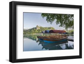 Slovenia, Bled, Lake Bled, Plenta Boats-Rob Tilley-Framed Photographic Print