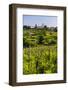 Slovenia Countryside and Vineyards and the Hill Top Town of Medana-Matthew Williams-Ellis-Framed Photographic Print