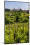 Slovenia Countryside and Vineyards and the Hill Top Town of Medana-Matthew Williams-Ellis-Mounted Photographic Print