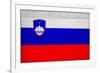 Slovenia Flag Design with Wood Patterning - Flags of the World Series-Philippe Hugonnard-Framed Art Print