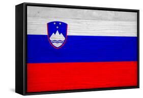 Slovenia Flag Design with Wood Patterning - Flags of the World Series-Philippe Hugonnard-Framed Stretched Canvas